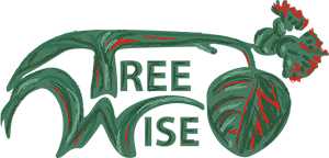 Tree Wise – Tree Trimming Danville