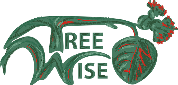 Tree Wise – Tree Trimming Danville